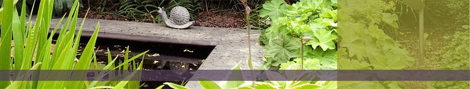Breed sfeerbeeld met water, planten en vijverrand