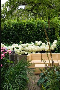 Groene border met hortensia, siergras en houten bank